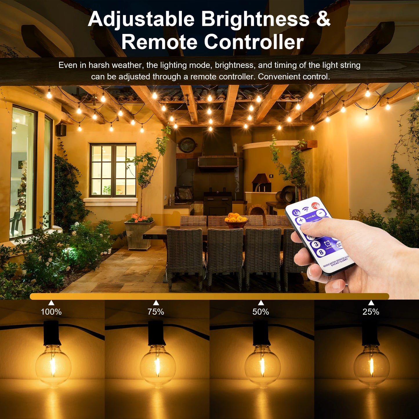Solar String Lights G40 – 12 meters 31 bulbs